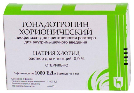 Фото 3 - Chorionic gonadotropin 1 bottle of 1000 units