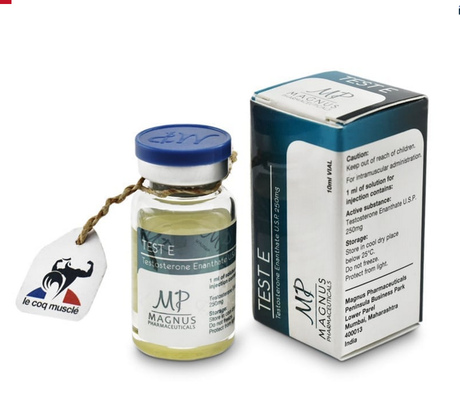Фото 3 - Testosterone Enanthate Magnus (Test E Magnus) 250 mg 10 ml