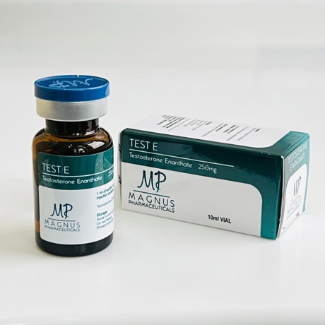 Фото 2 - Testosterone Enanthate Magnus (Test E Magnus) 250 mg 10 ml