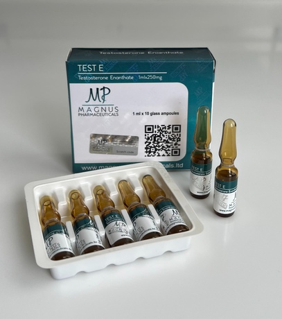 Фото 2 - Testosterone Enanthate Magnus (Test E Magnus) 250 mg 1 ml