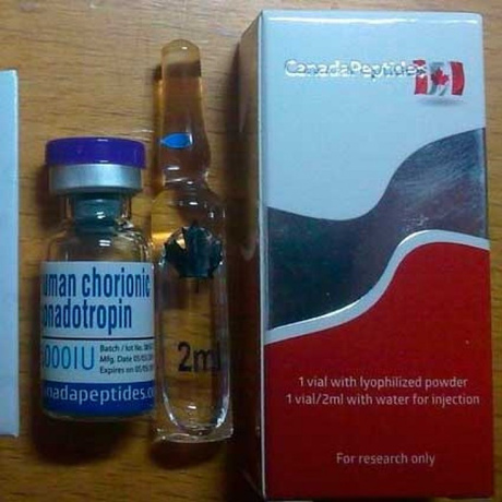 Фото 3 - Gonadotropin Canada Peptides 5000IU