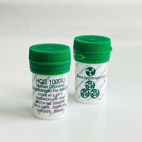 Фото 3 - Chorionic gonadotropin Hygetropin 1000 IU
