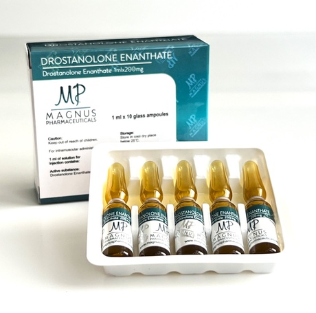 Фото 2 - Masteron enanthate Magnus ampoules (Drostanolone Enanthate Magnus) 200 mg 1 ml