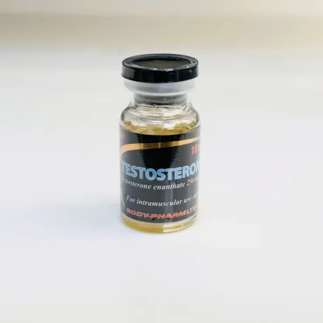 Фото 4 - Testosterone Enanthate BodyPharm (Testosteron-E BodyPharm) 250mg 10ml
