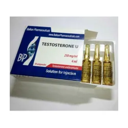 Testosterone Undecanoate 1000mg/4ml