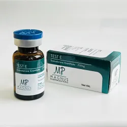 Testosterone Enanthate Magnus (Test E Magnus) 250 mg 10 ml