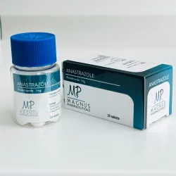 Anastrazole Magnus (Anastrazole Magnus) 1 mg 25 tablets