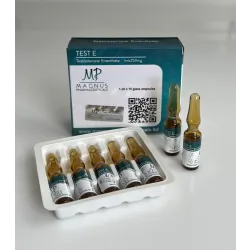Testosterone Enanthate Magnus (Test E Magnus) 250 mg 1 ml