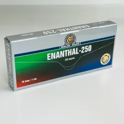 Testosterone enanthate Malay Tiger (Enanthal Malay Tiger) 250 mg 1 ml