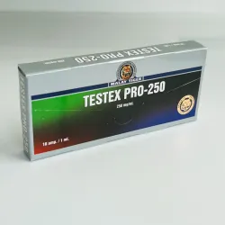 Testosterone cypionate Malay Tiger (Testex Pro Malay Tiger) 250 mg 1 ml