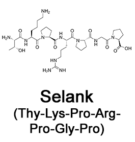 selanka 